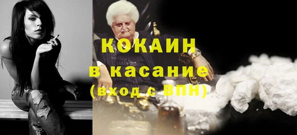 ешки Алексин