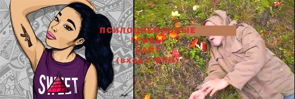 ешки Пестово
