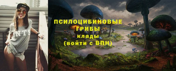 дмт Абинск